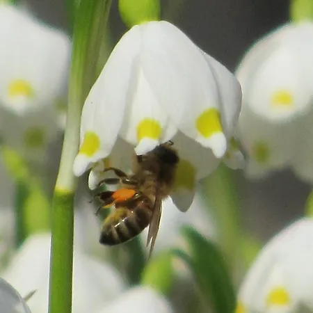 Apartmán Im Landstreicherhaus