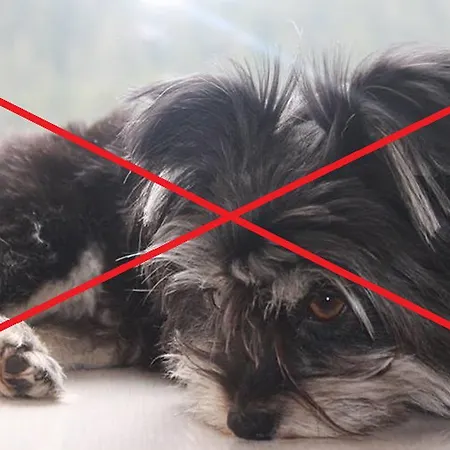 Im Landstreicherhaus Apartment *