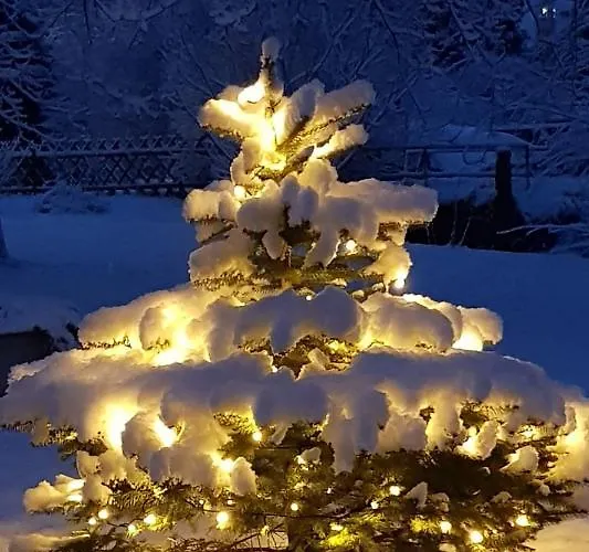 Im Landstreicherhaus Apartment