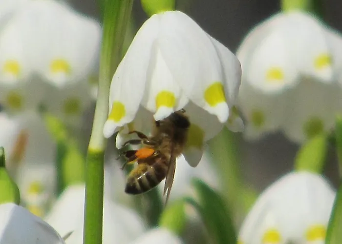Apartment Im Landstreicherhaus